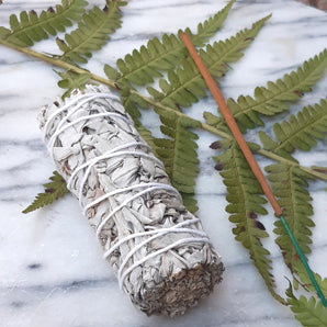 Räucherbündel | Smudge Stick | Weißer Salbei