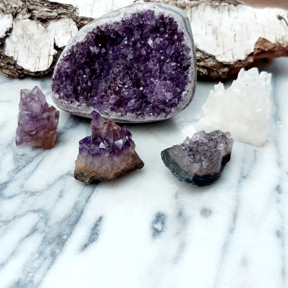 Amethsyt Cluster | Druse | Rohstein | 10-20 gr